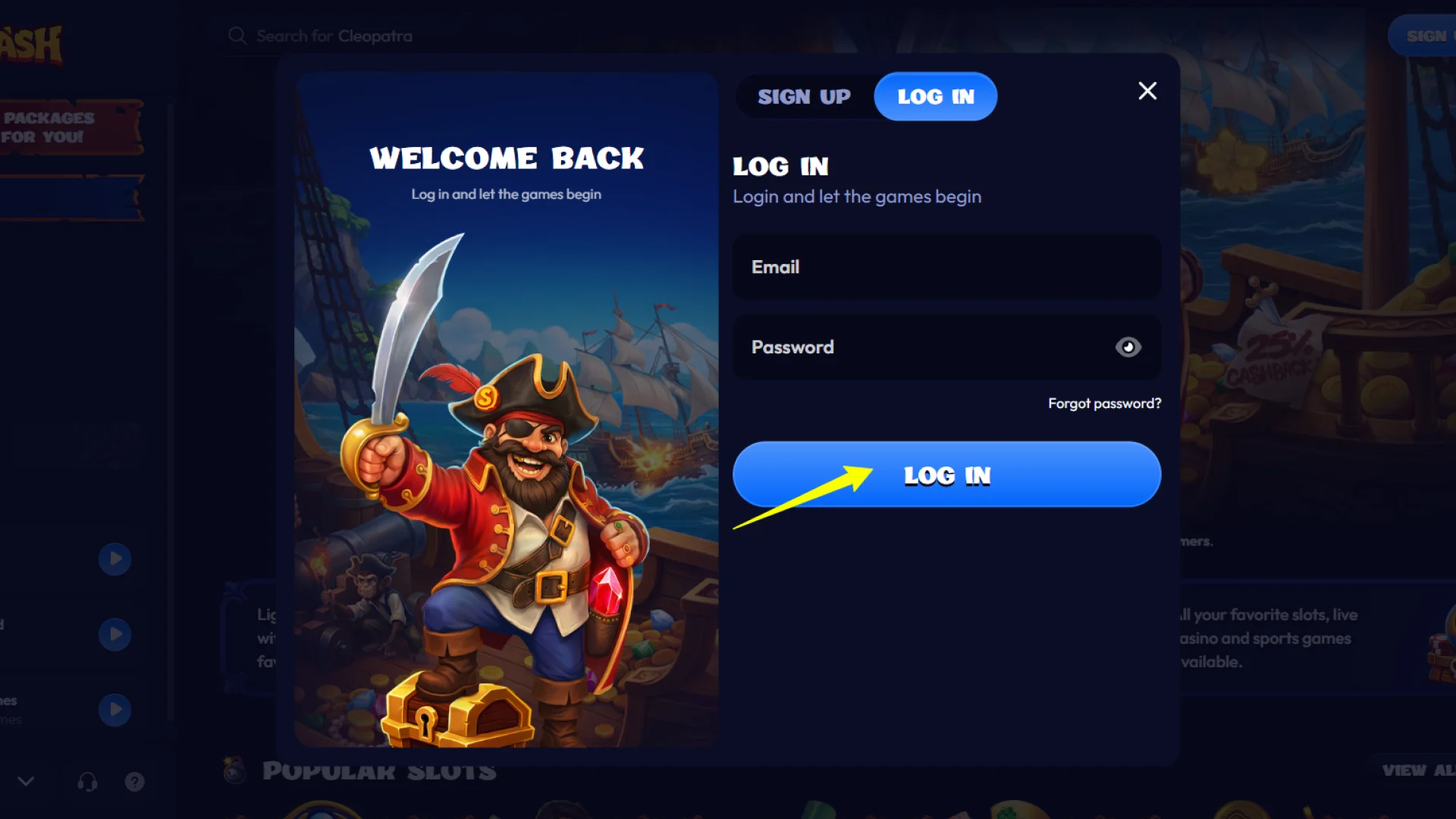 Log in to your personal account using the newly created Smash password.